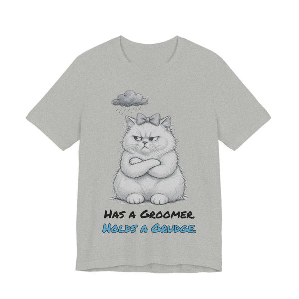 Athletic Heather t-shirt printed in full-color print with a full-color pencil drawing of a scowling white cat with a bow and a rain cloud and the words “Has a Groomer. Holds a Grudge.”